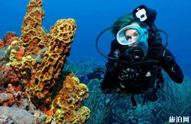马尔代夫浮潜怎么使用水下相机 浮潜用什么水下相机 马尔代夫浮潜怎么使用水下相机 浮潜用什么水下相机