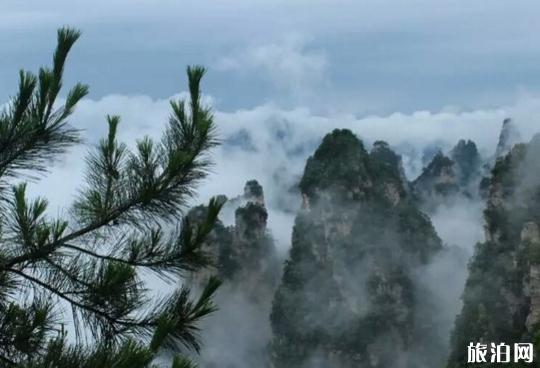 在张家界拍摄日出日落在哪个位置比较好 在张家界拍摄日出日落在哪个位置比较好