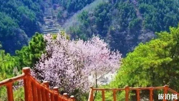 邯郸周边游玩景点大全 邯郸周边游玩景点大全