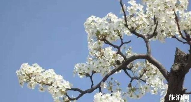 邯郸周边游玩景点大全 邯郸周边游玩景点大全