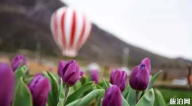 邯郸周边游玩景点大全 邯郸周边游玩景点大全