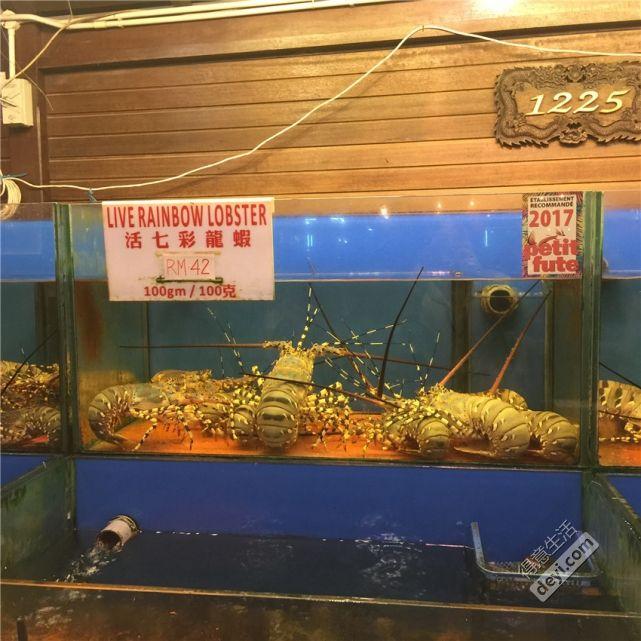 马来西亚亲子游攻略 马来西亚亲子旅游攻略 马来西亚亲子游攻略 马来西亚亲子旅游攻略