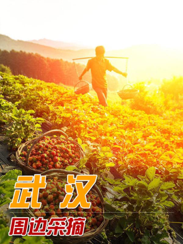 武汉周边采摘游 武汉采摘旅游攻略