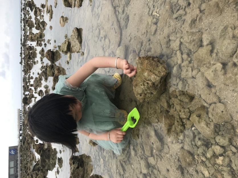 三亚亲子游攻略三岁宝宝 三亚亲子游攻略三岁宝宝