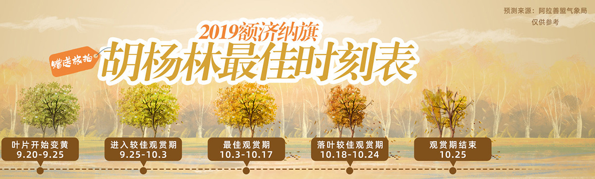 2019额济纳旗